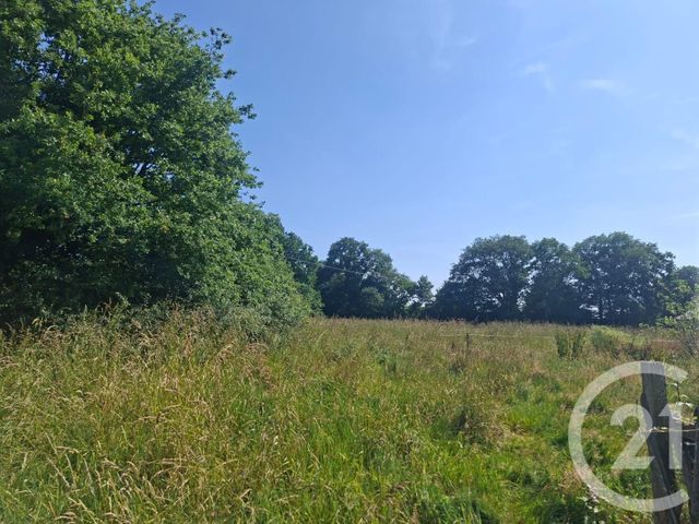 Maison &agrave; vendre - 6 pi&egrave;ces - 223 m2 - Coesmes - 35 - BRETAGNE