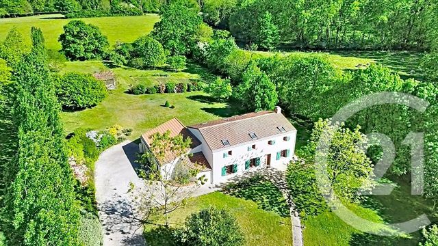 maison - MONTREVAULT SUR EVRE - 49