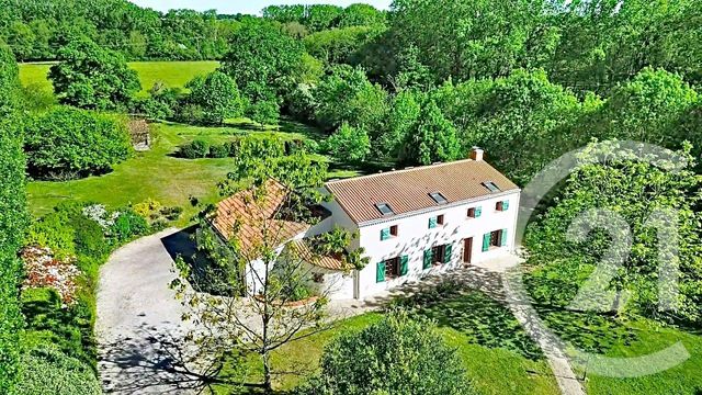 Maison &agrave; vendre - 10 pi&egrave;ces - 205 m2 - Montrevault Sur Evre - 49 - PAYS-DE-LOIRE