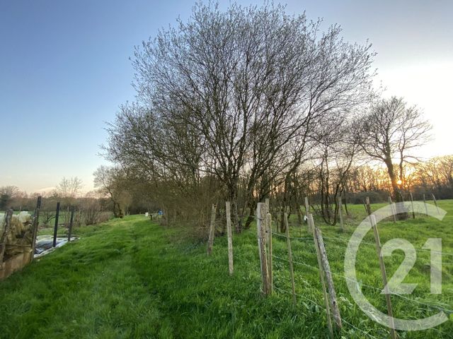 Maison &agrave; vendre - 6 pi&egrave;ces - 130 m2 - Montrevault Sur Evre - 49 - PAYS-DE-LOIRE