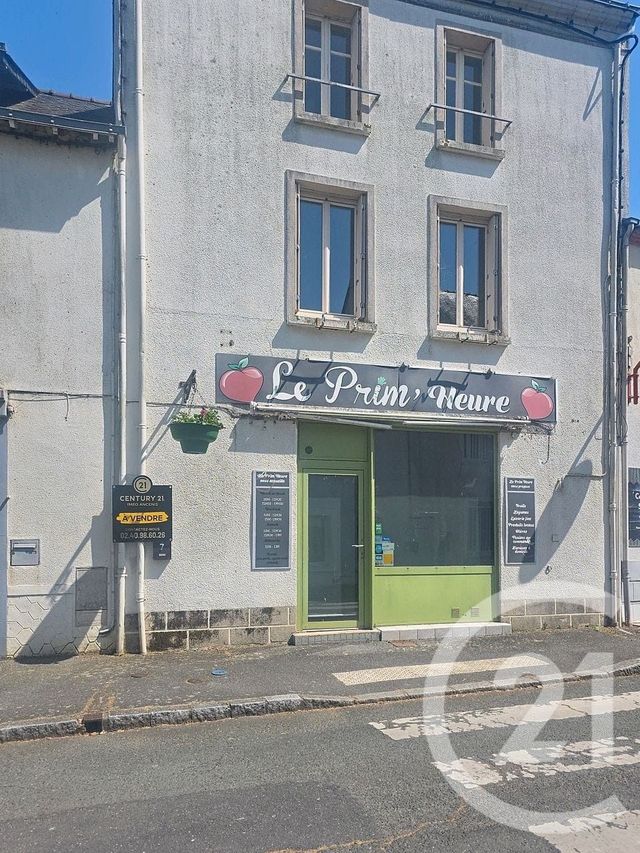 appartement - RIAILLE - 44